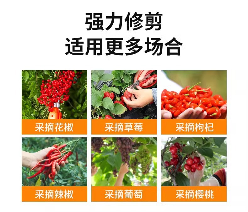 摘花椒神器手握多功能剪刀花椒葡萄芸豆采摘工具修枝剪花园艺剪详情5