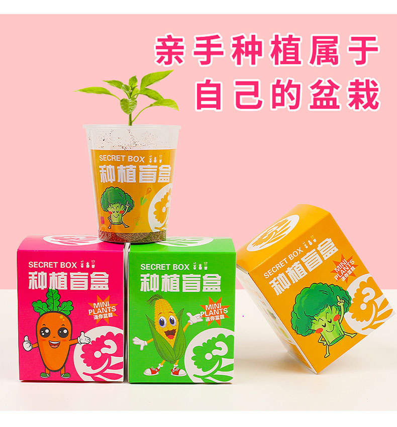 Pop Mart Zootopia Planting Blind Box collectible figurine product pictures Fun collection New Limited Edition pic 8