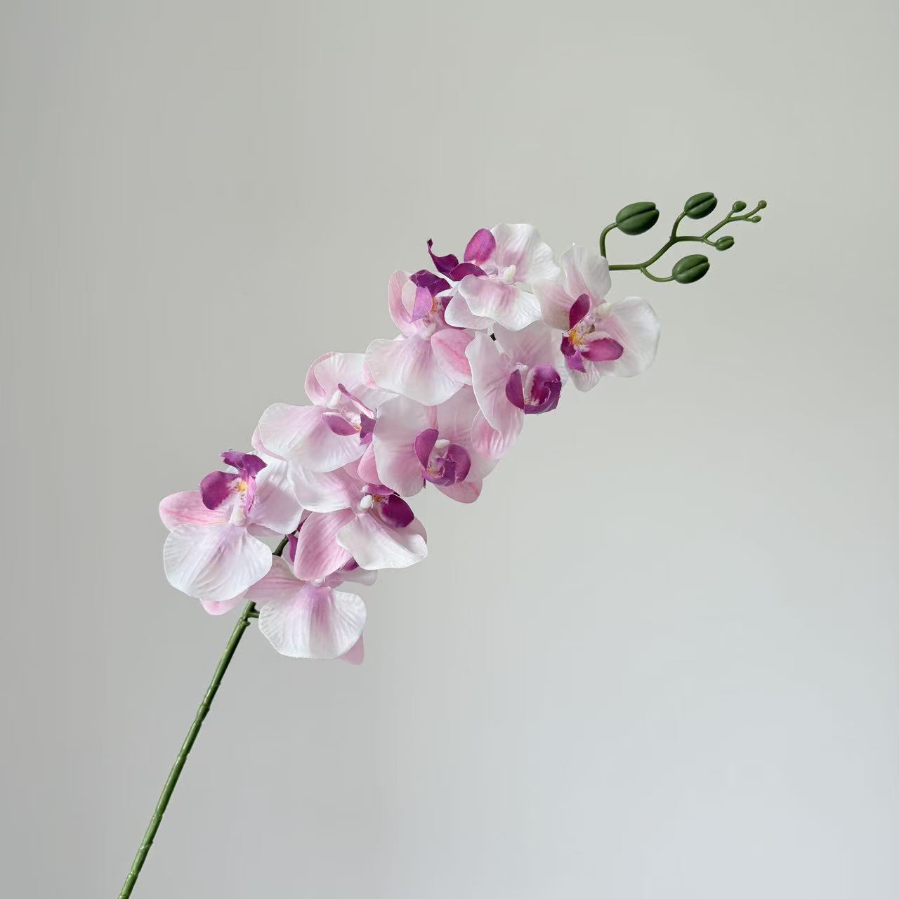 9头蝴蝶兰仿真花手感高级感逼真假花兰花艺场景布置酒店婚庆用花详情41