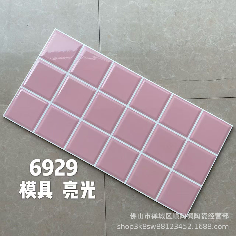 墨绿色格子瓷砖300*600亮光哑光面包砖北欧商铺卫生间墙面砖厨房详情38