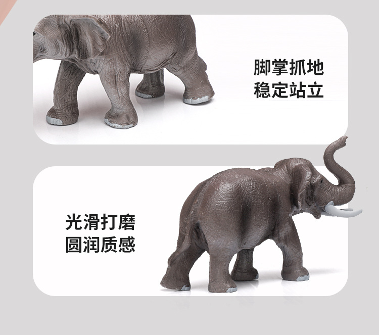 纽奇儿童动物模型仿真恐龙玩具蛇鲨鱼昆虫霸王龙仿真鱼小猫咪奶牛详情9