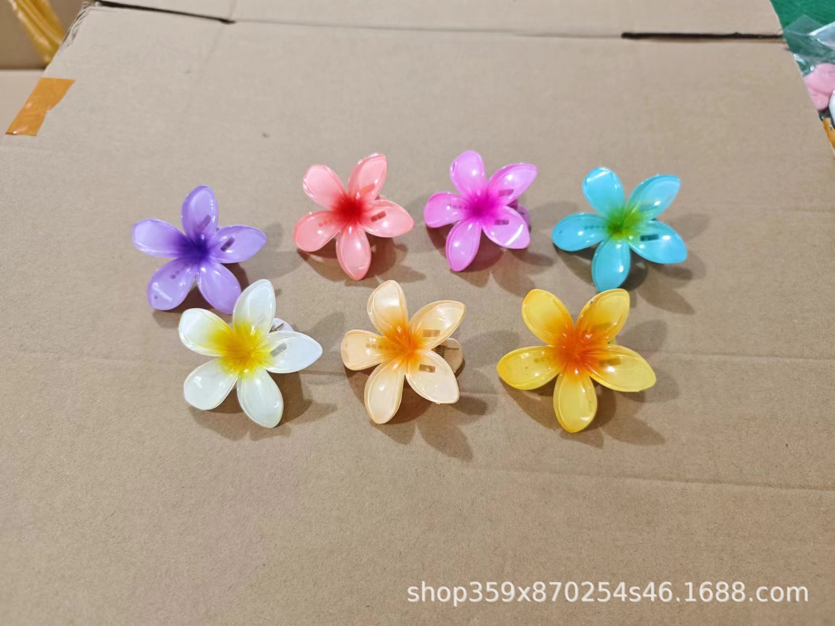 新款4cm塑料花朵发夹亚马逊糖果色鸡蛋花鲨鱼夹详情2