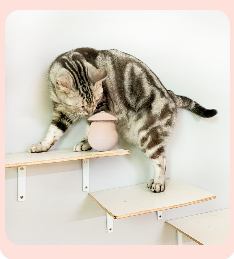 跨境不倒翁智能激光逗猫玩具自动激光逗猫棒电动猫玩具宠物用品详情13