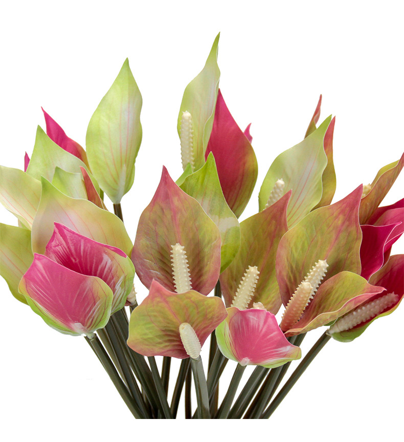 Floral decoration, potted plants, green plants, indoor ornaments, succulents, combination potted plants pic 8