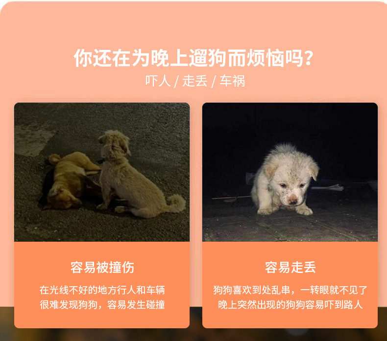 Pet night light dog walking lamp to prevent dogs from getting lost at night, illuminated pendant, charging LED warning, cat and dog flashing night walk pic 3