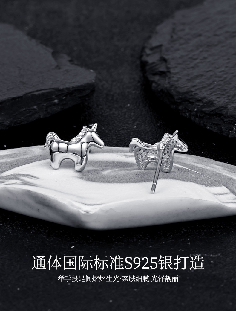 Zhuoheng Select New AliExpress earrings, European and American cross-border S925 silver inlaid hip-hop style stud earrings, high-end and light luxury earrings pic 3