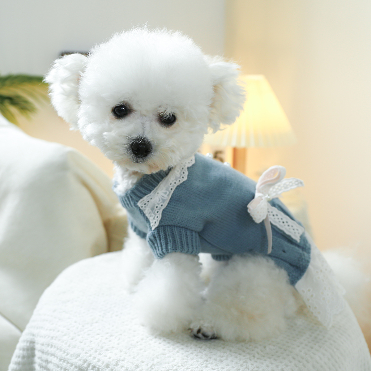 T Elegant princess cat and dog clothes, pet dog and cat warm and comfortable home clothes for autumn and winter, dog clothes, pet skirts pic 12