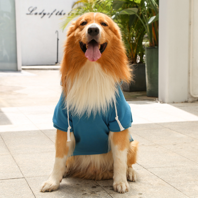 Otoño e invierno peluche de oro cremallera de bolsillo sudaderas grandes y medianas para perros perros ropa de gato fardo suministros para mascotas pic 24