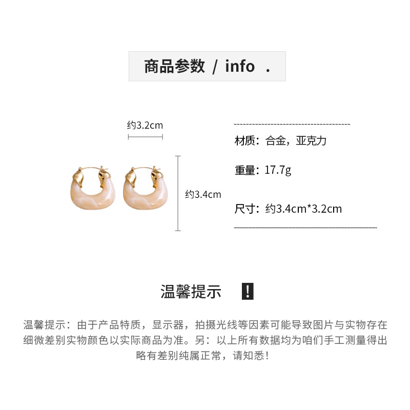 韩国复古树脂字母包包耳环简约个性设计耳扣潮流气质高级感耳饰女详情3