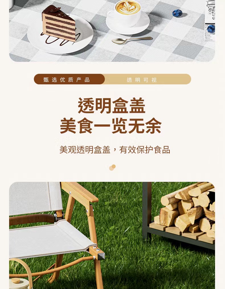 手提保鲜盒户外露营野餐盒外出便携移动食品收纳盒冰箱水果便当盒详情6
