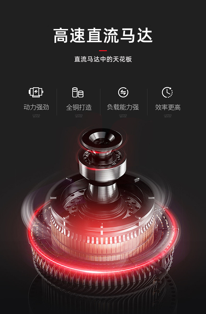 Hot air comb, multi-functional hair dryer, hair curler, negative ion one-stop hair dryer 2008 pic 14