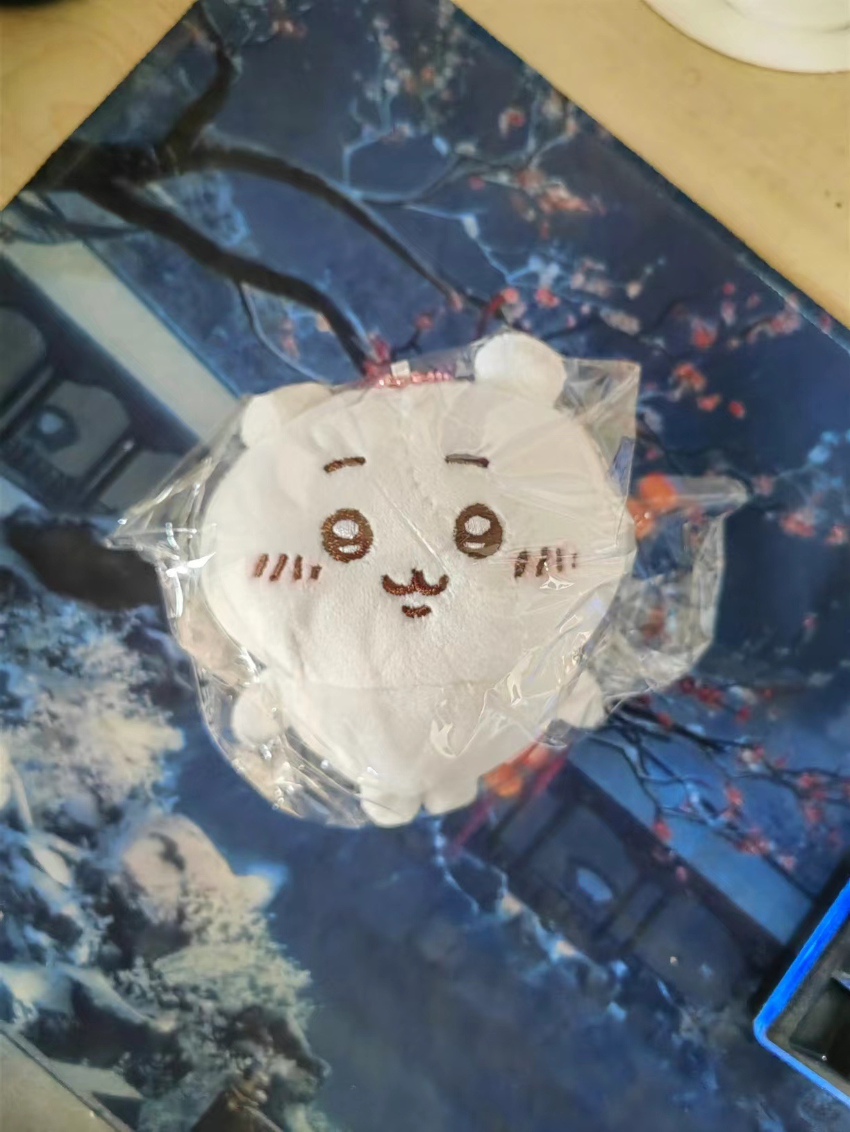 考拉衣服10cm棉花娃娃小兔小猫吉伊娃衣灰色树袋熊外套平替换装详情2