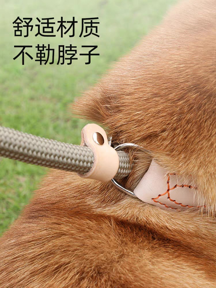 狗狗绳子防爆冲P链遛狗牵引绳防挣脱狗链子中大型犬防爆冲拴狗绳详情3