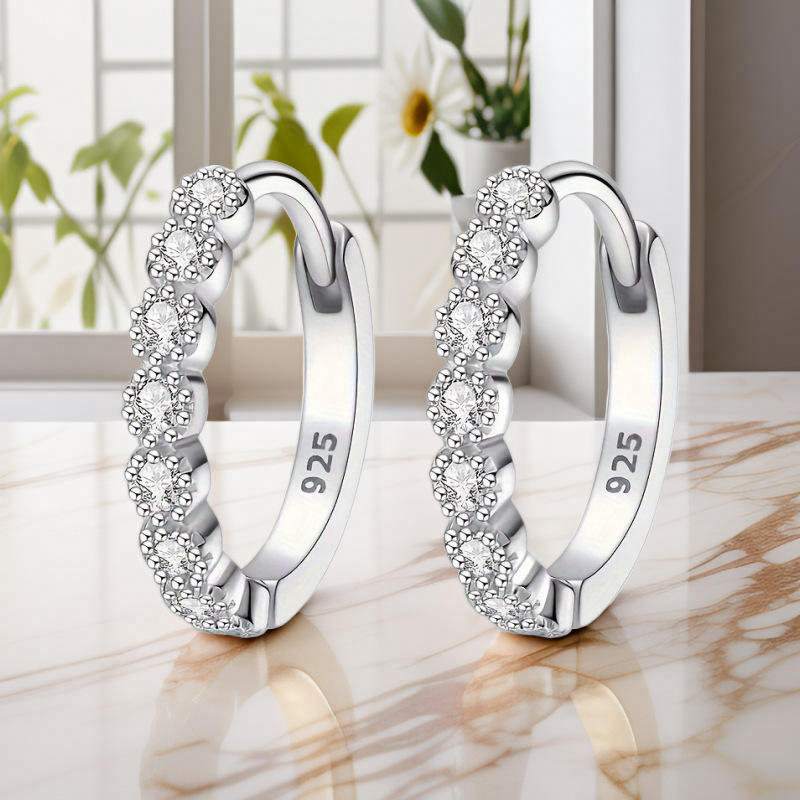 跨境新款轻奢耳环女锆石镶钻耳扣高级感冷淡风时尚简约耳饰批发详情1