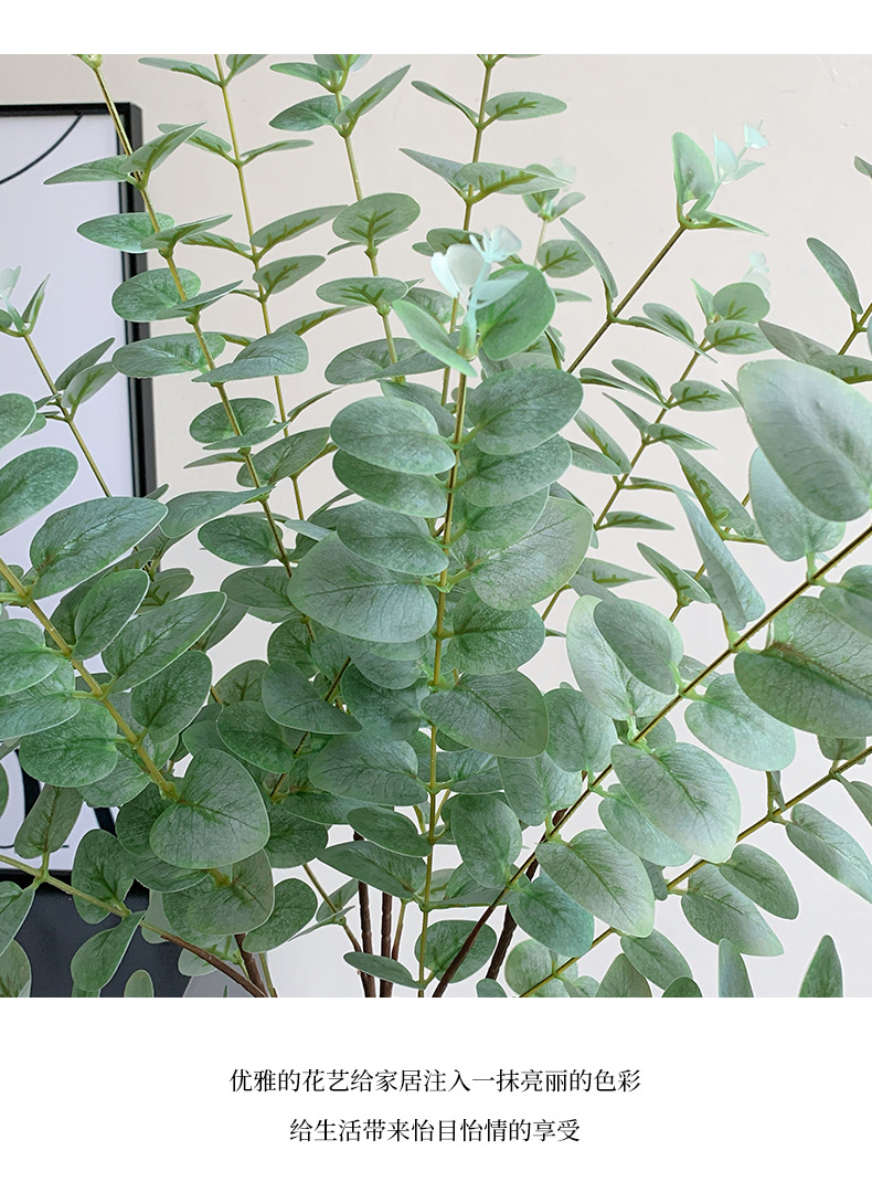 长枝3D打印手感仿真尤加利叶单支金钱叶拍照道具家居装饰假树叶详情7