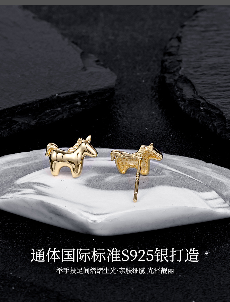 Zhuoheng Select New AliExpress earrings, European and American cross-border S925 silver inlaid hip-hop style stud earrings, high-end and light luxury earrings pic 10