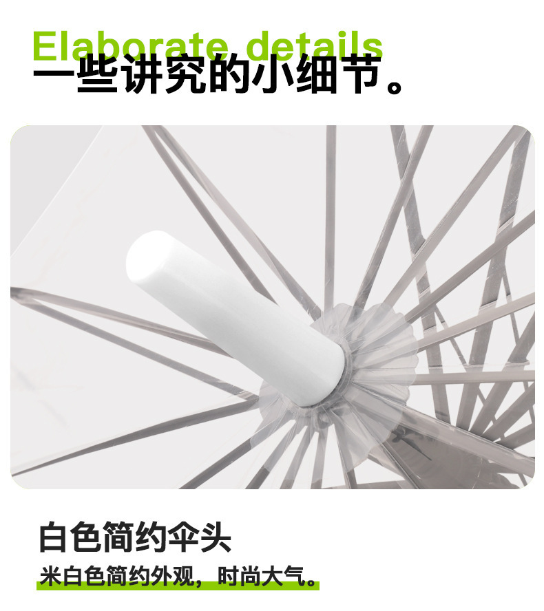 EVO透明环保伞定制长柄伞定制自动伞广告伞礼品透明直杆雨伞批发详情10