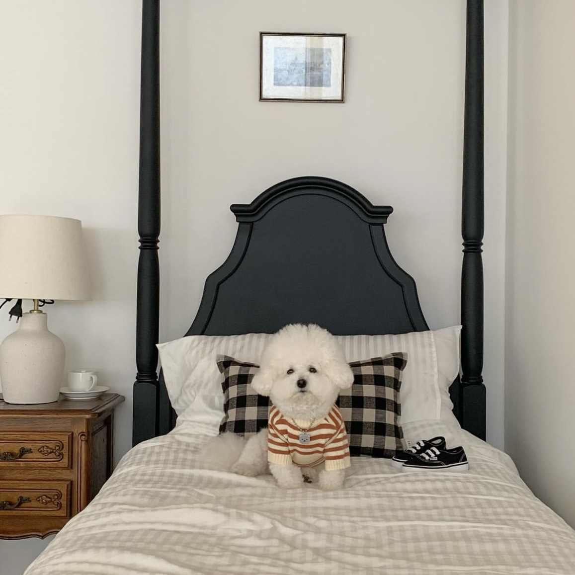 ins韩国保暖宠物针织毛衣服秋冬加厚中小型犬狗狗猫咪泰迪批发pet详情15