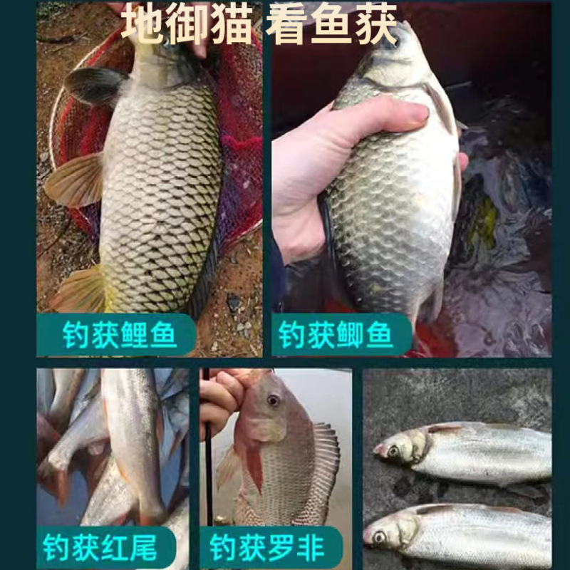 The bait in stock is available at the Imperial Cat Wild Fishing, specializing in carp and crucian carp baits. The fishy and fragrant hell fish food wild fishing can be pulled or rolled pic 8