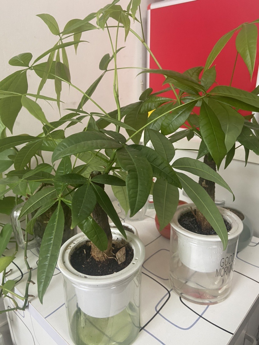 ll三层手提咕卡收纳盒大容量学生文具盒儿童女孩diy手账贴纸赵详情7