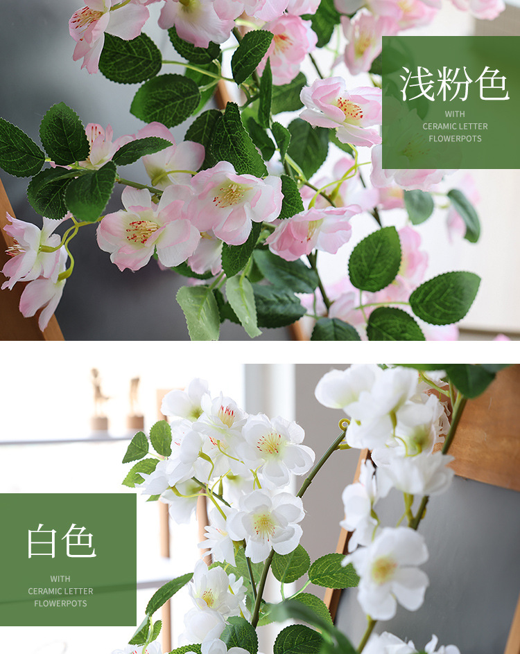 樱花_08.jpg
