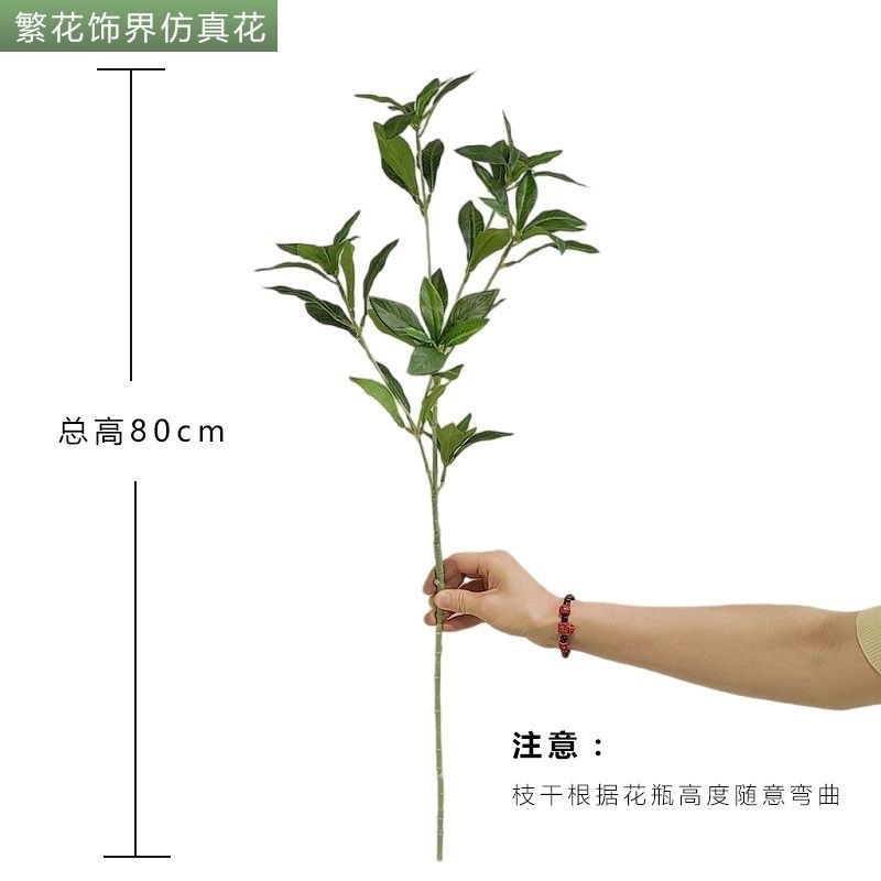 2025新款马醉木仿真绿植北欧风客厅办公桌面花艺盆栽宠物园艺水培生态瓶详情7