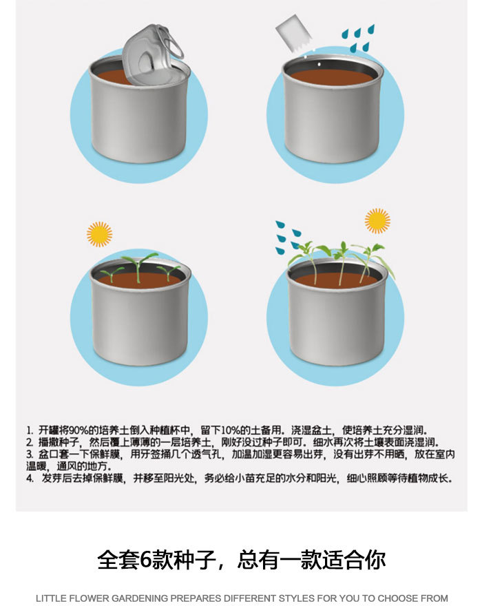 儿童礼物易拉罐植物盲盒桌面小盆栽小学生花卉绿植好养活种子盆栽详情6