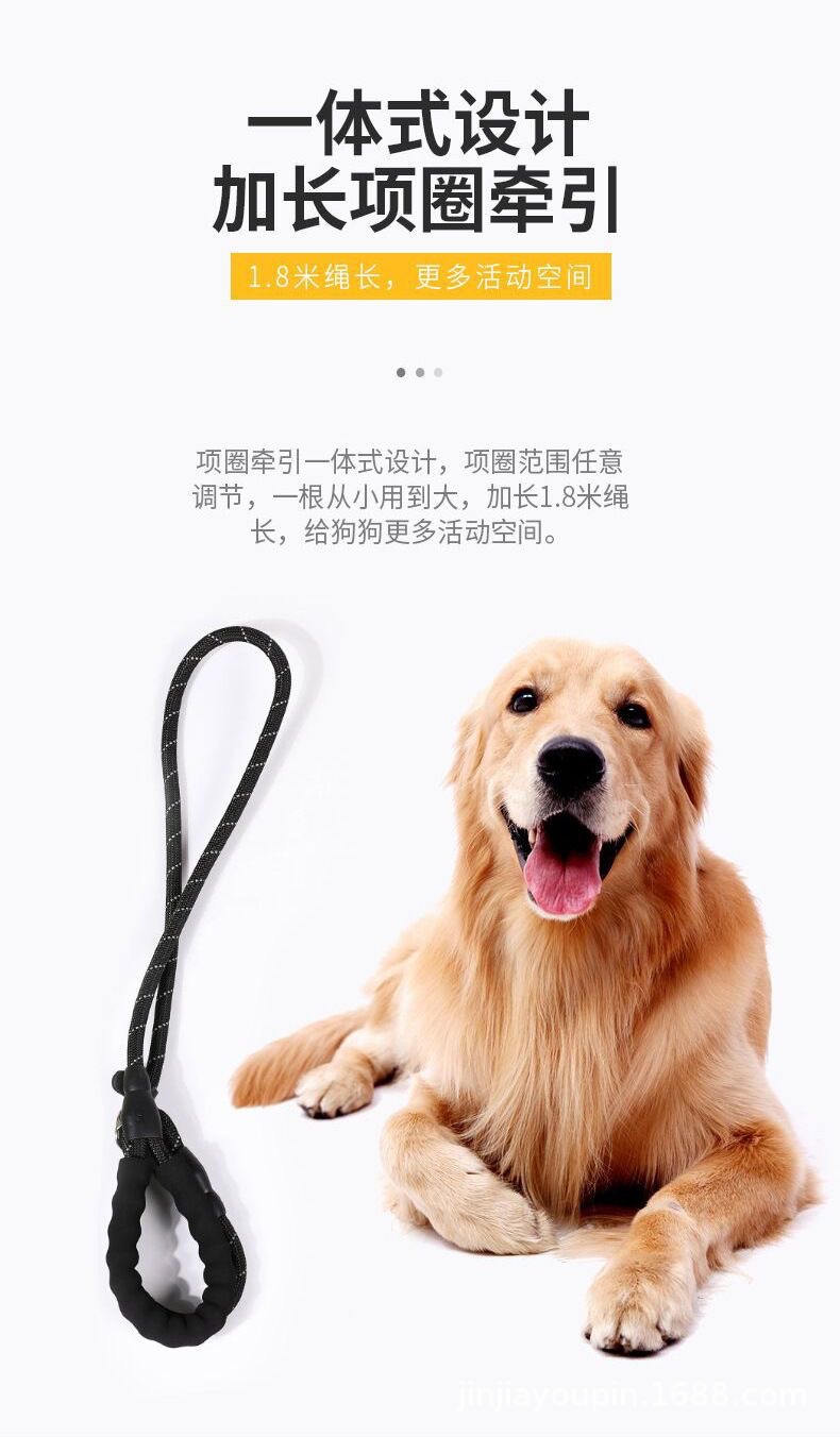 Pet dog leash chain supplies, P-chain dog walking leash, explosion-proof p leash, medium and large-sized golden Retriever pic 15