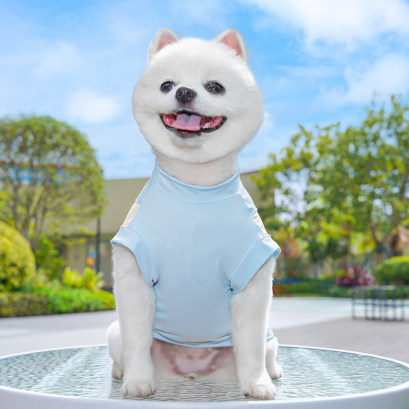 春夏季狗狗用品猫咪冰丝猫背心小中型犬外出防晒狗衣服宠物衣服详情28