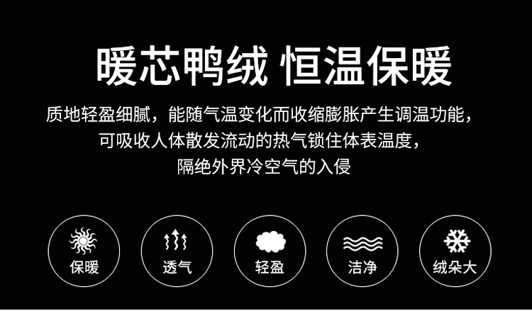 反季2024新款男士羽绒马甲轻薄款羽绒服立领外套青年大码坎肩背心详情6