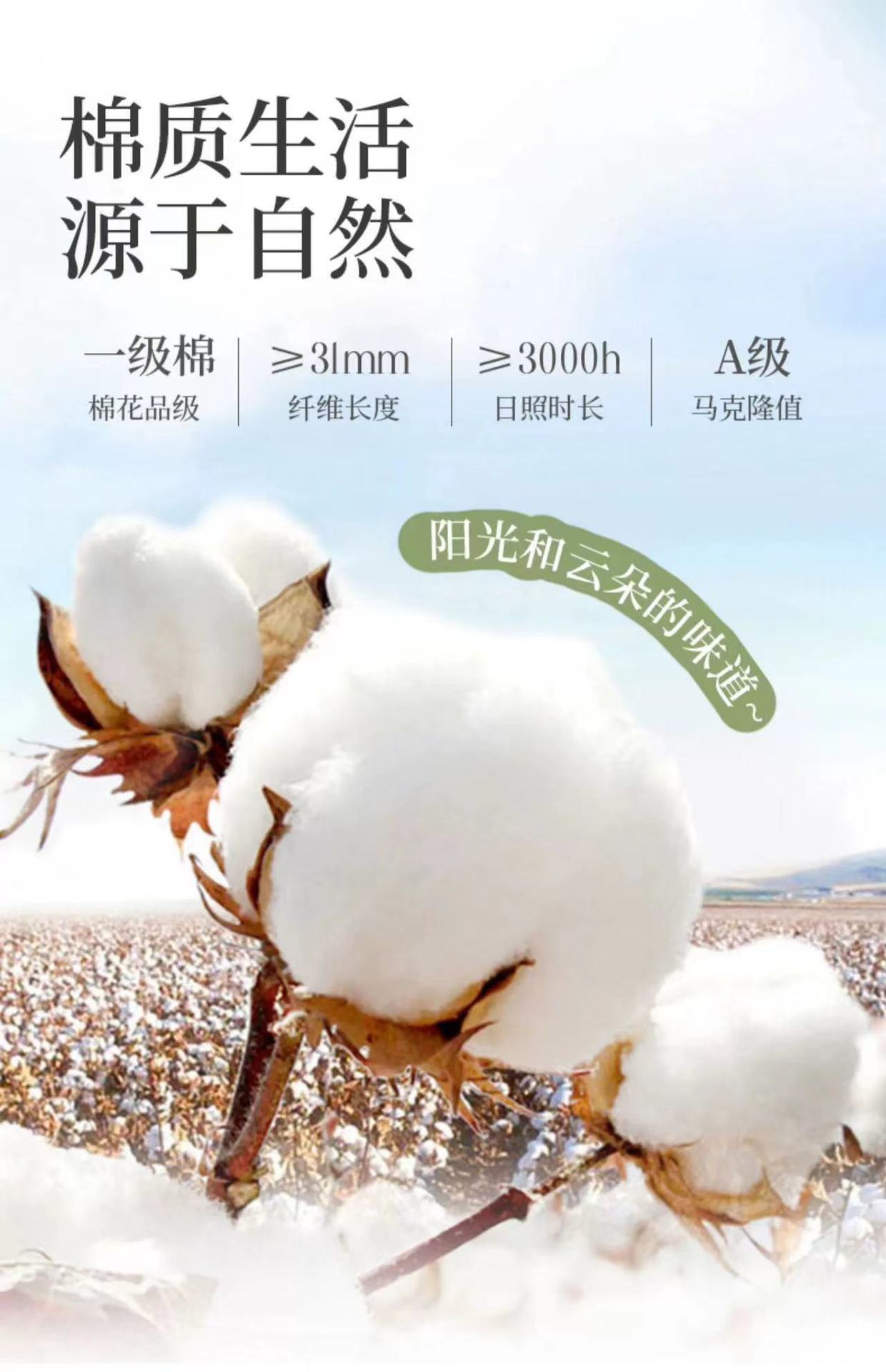 纯棉袜子男短袜春夏薄款网眼按摩底全棉男士船袜诸暨夏季诸暨批发详情7