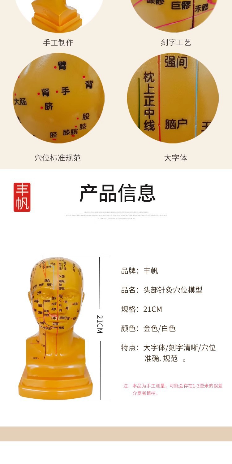 Head medical acupuncture practice model, traditional Chinese medicine acupoint meridian massage human body model, massage head model 21cm pic 4