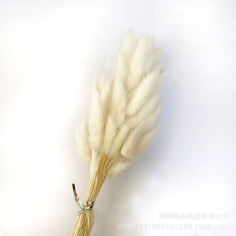 QQ图片20210731143912.jpg