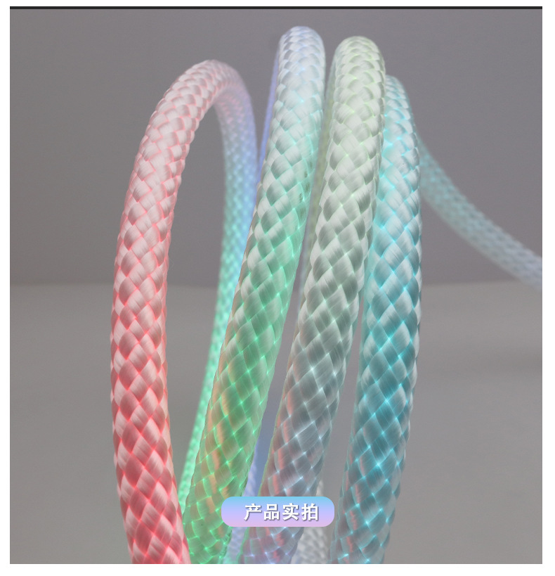 跨境专供龙纹编织幻彩灯带LED霓虹灯10mm防水Led柔性霓虹灯条形灯详情17