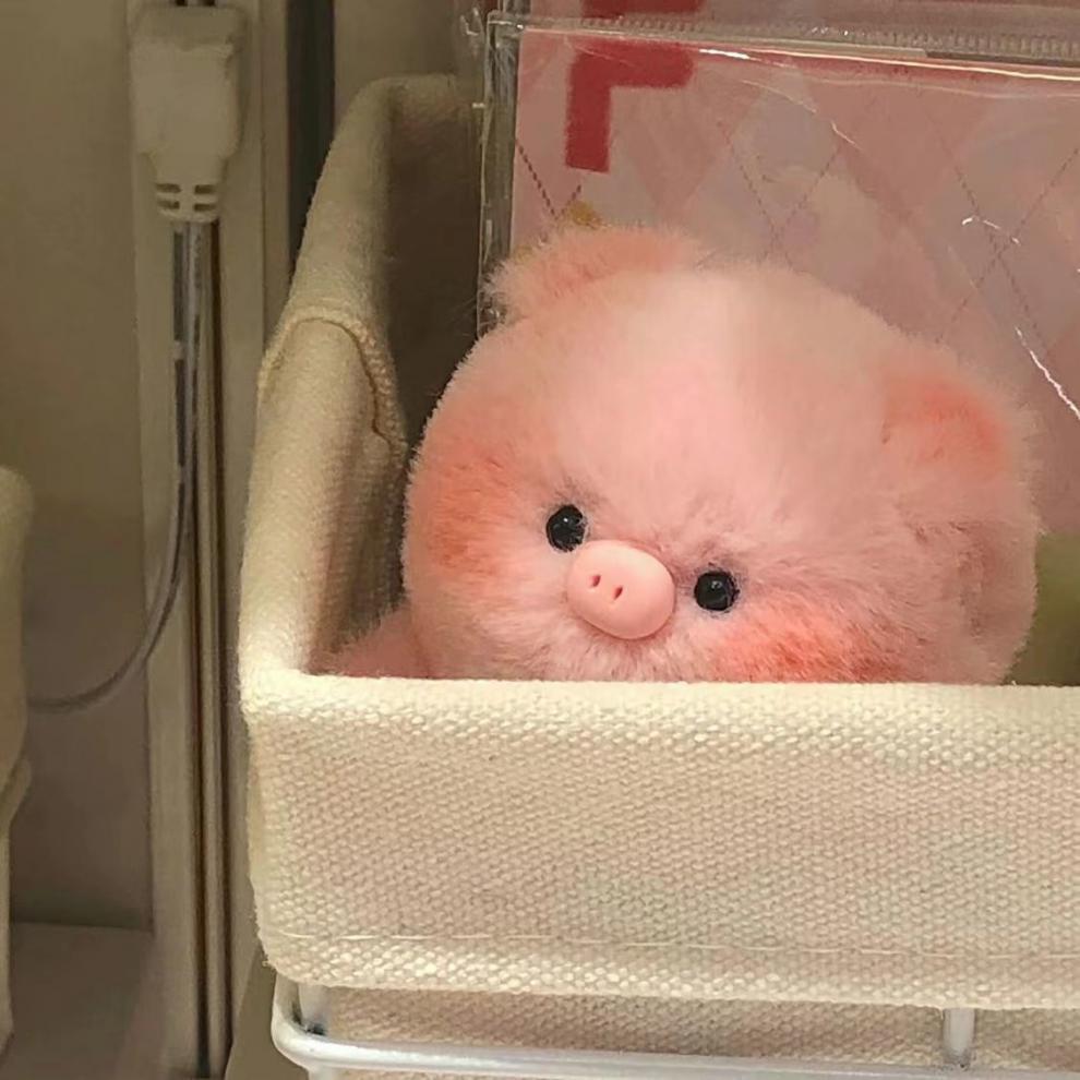 National trend baby boy, piglet, pighead bag, pendant, plush keychain, creative doll, figurine, gift, wholesale for friends pic 4