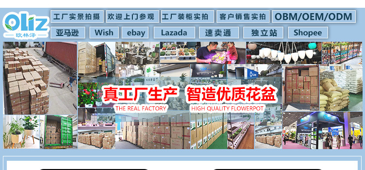 跨境工厂现货批发透明塑料懒人花盆双层简约自吸水棉绳亚马逊园艺详情4
