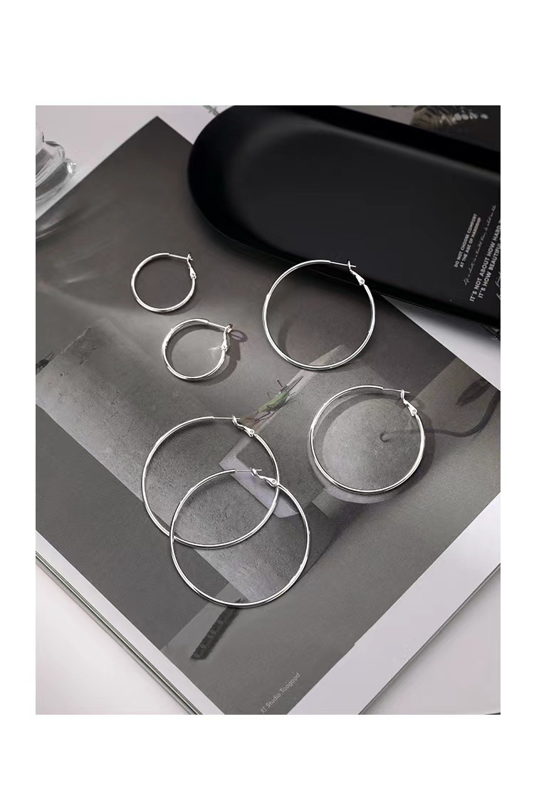 925 sterling silver pin large earrings 2023 New bestseller, Niche summer ear rings, high-end ear studs, earrings for women pic 2