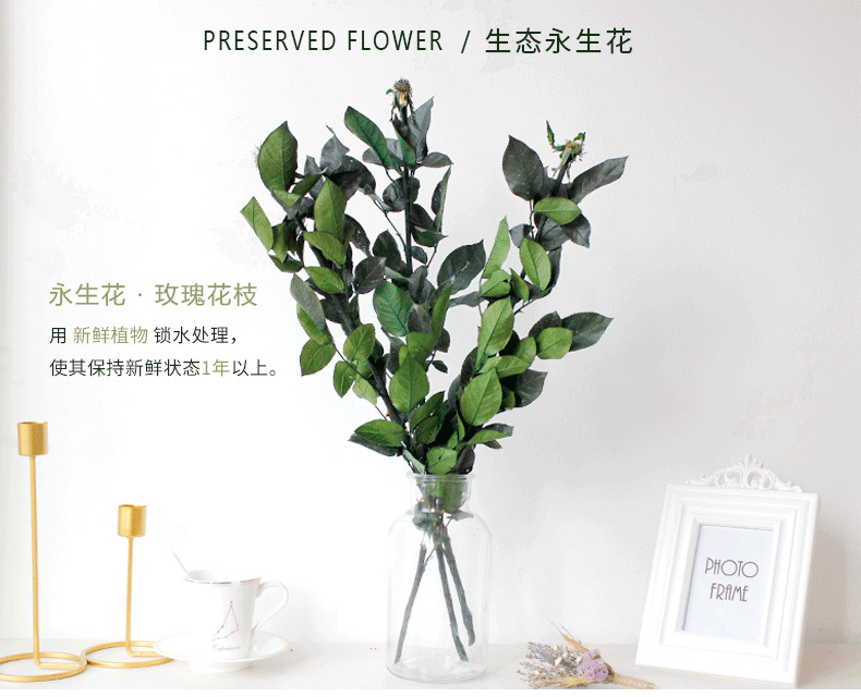 Eternal rose leaves, rose branches, prince rose branches, green long stems, diy flower arrangement materials pic 1