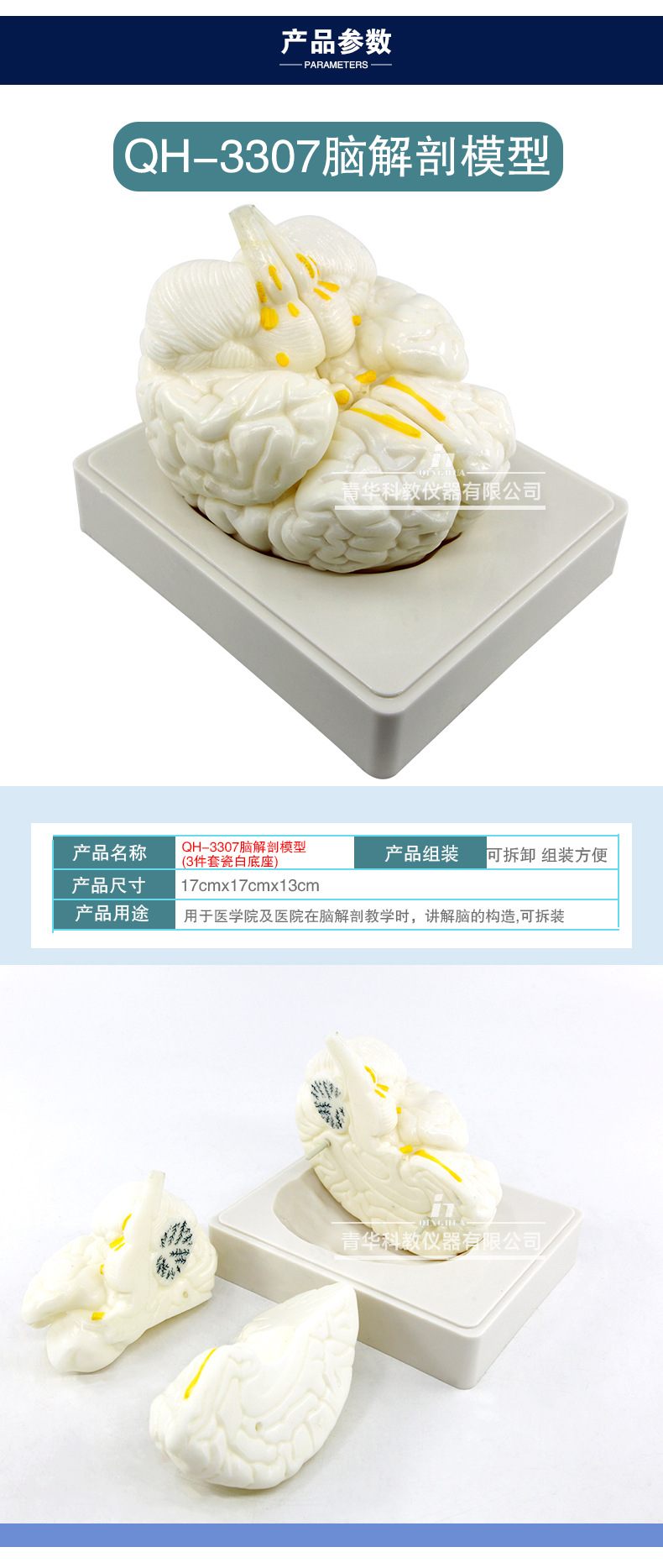 Qinghua 4D Assembly Brain Anatomy Model, human brain anatomy, cerebrovascular artery, nerve, medical science and education model pic 6