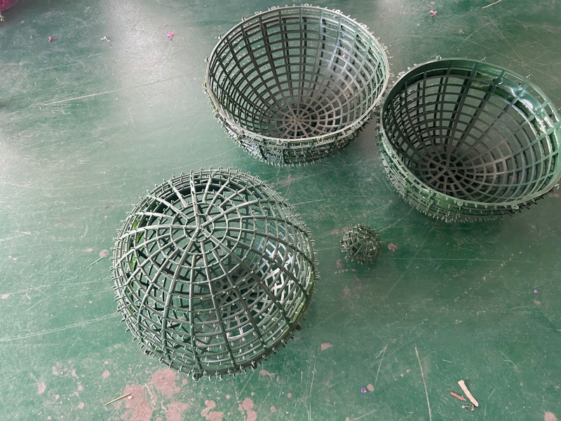 QQ图片20240724194950_副本