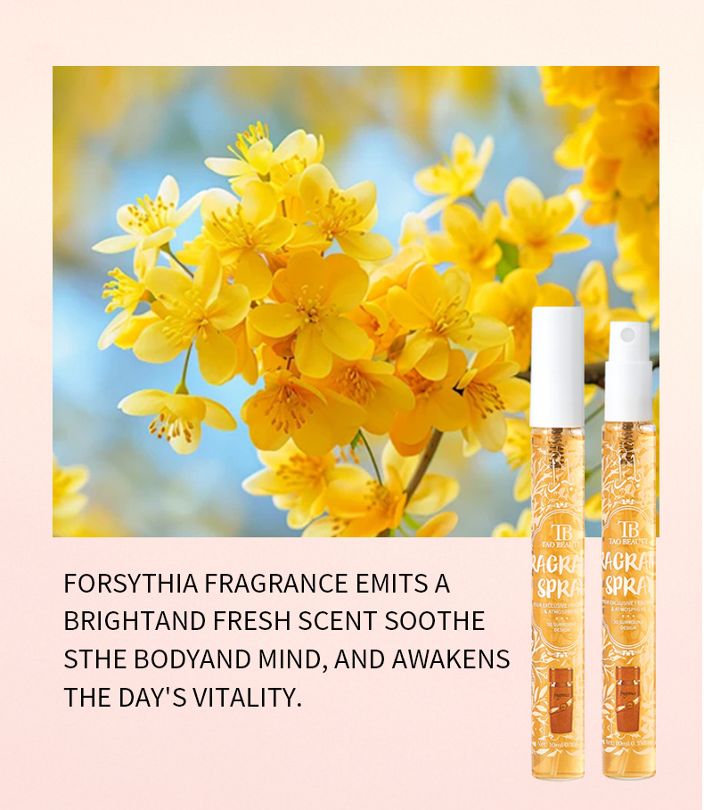 【 Cross-border Exclusive 】Tao Beauty Perfume Set Box Fragrance Spray 10ml Long-lasting Fragrance Water Wholesale pic 10