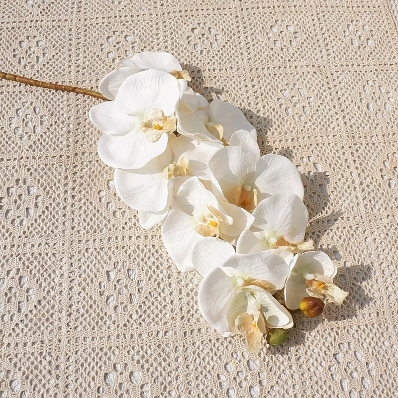 O1CN01YVpiba1s540bZ8Wfx_!!4036