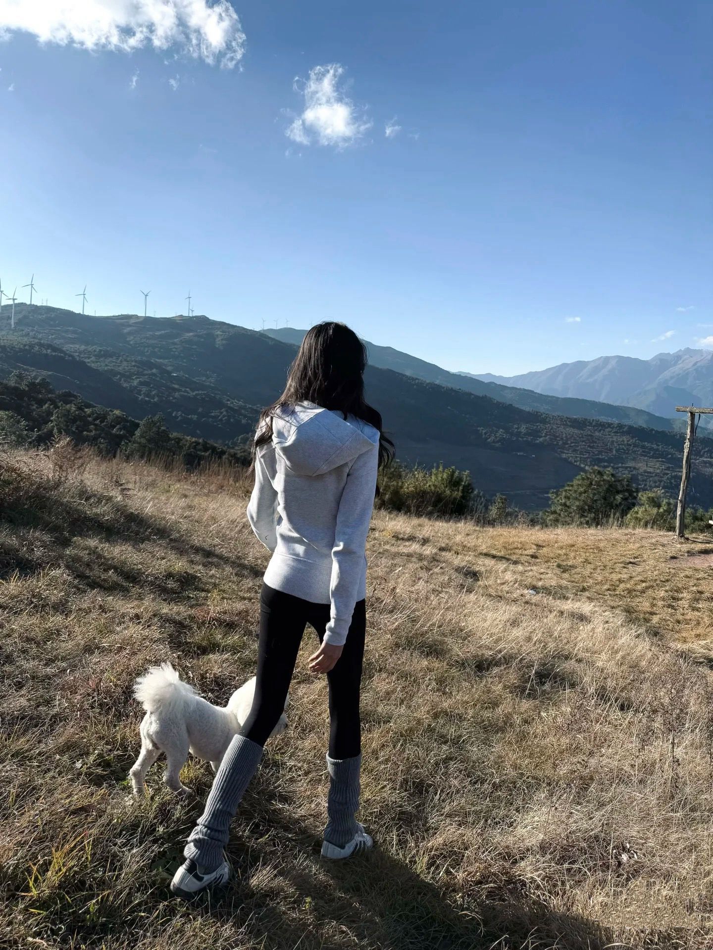 修身外套女款正肩卫衣秋冬季衣服连帽衫收腰紧身显瘦上衣2025新款详情11
