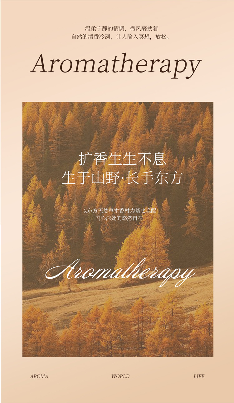 木质香无火香薰摆件高级卧室家用香薰室内卫生间除臭持久清香香氛详情3