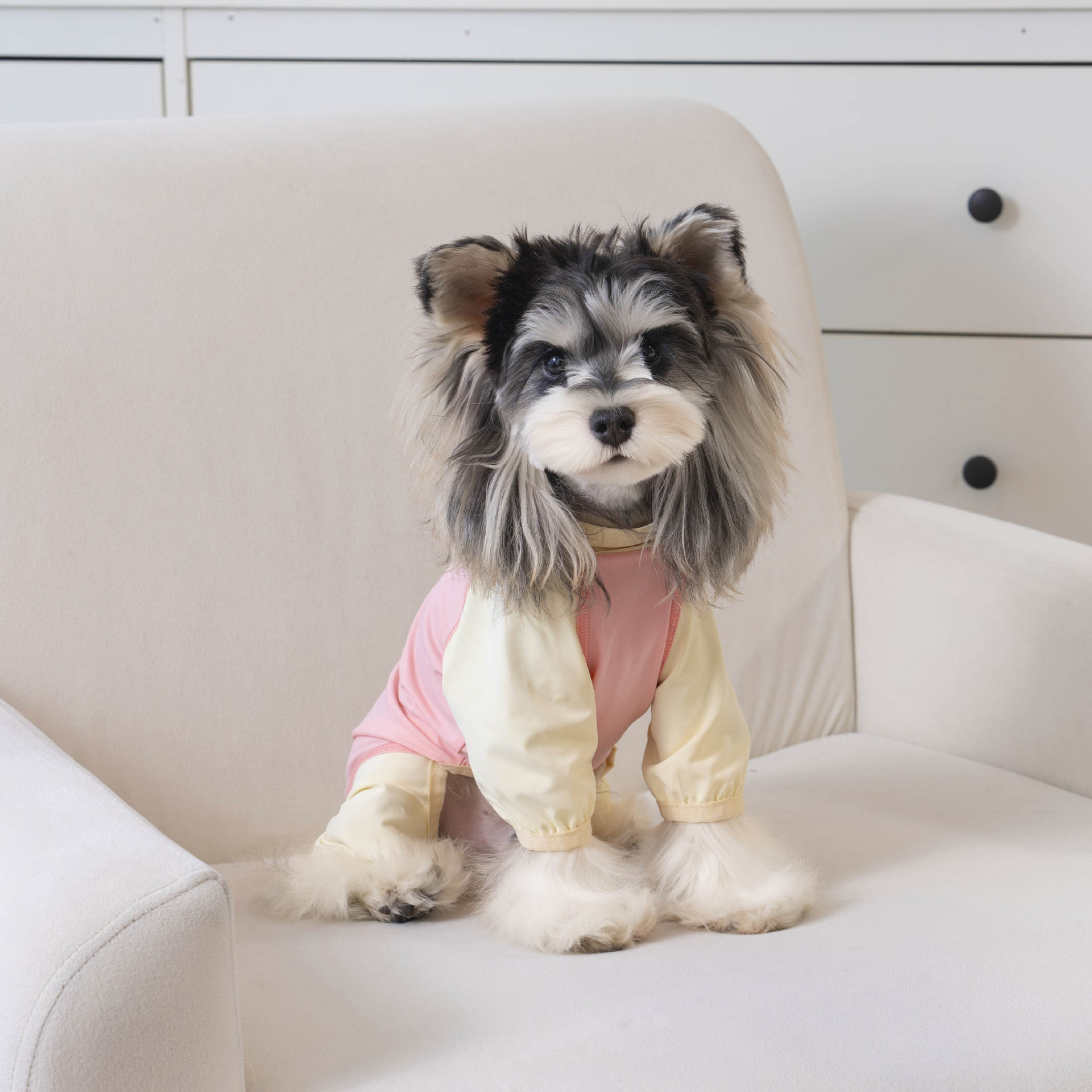 春夏新款小型犬四脚衣冰丝凉感服 泰迪比熊雪纳瑞宠物服装详情12