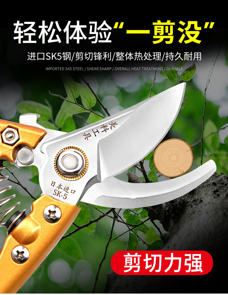 修枝剪园艺剪刀果树剪家用省力修树枝剪子修花工具日本外贸园林剪详情3