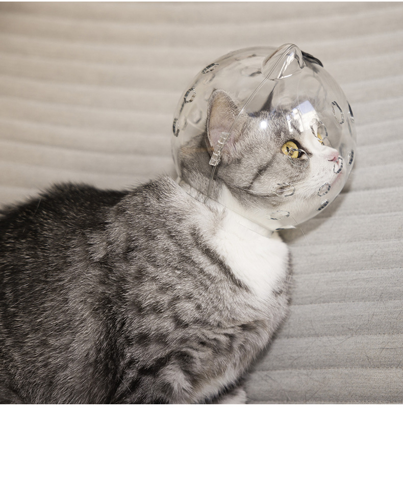 宠物太空头罩打针防咬伊丽莎白项圈术后防添猫头套狗项圈猫咪用品详情6