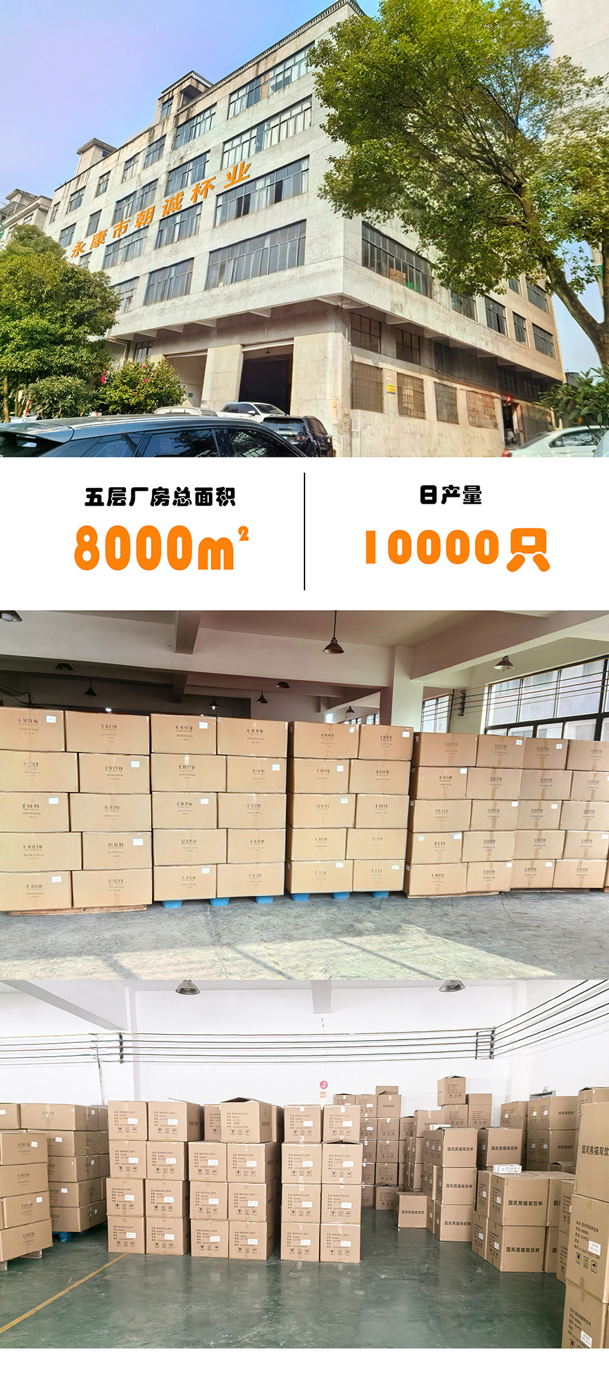 现代简约不锈钢双层隔热水杯高颜值咖啡杯带手柄家用礼品跨境货源详情2