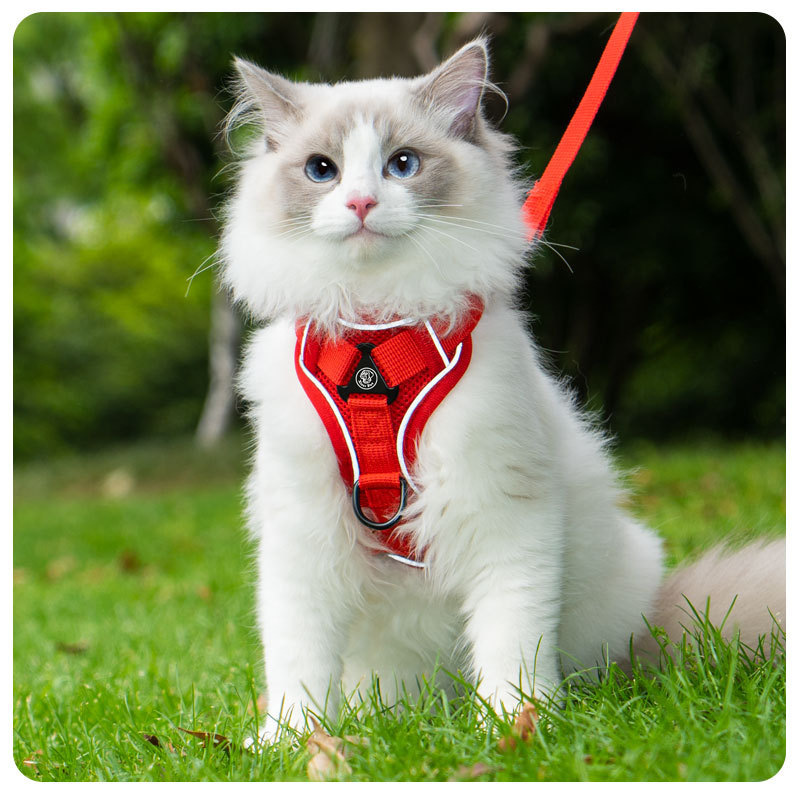 Cat leash vest pet chest and back strap cat walking rope chest and back anti-escape cat leash breathable anti-escape pic 17