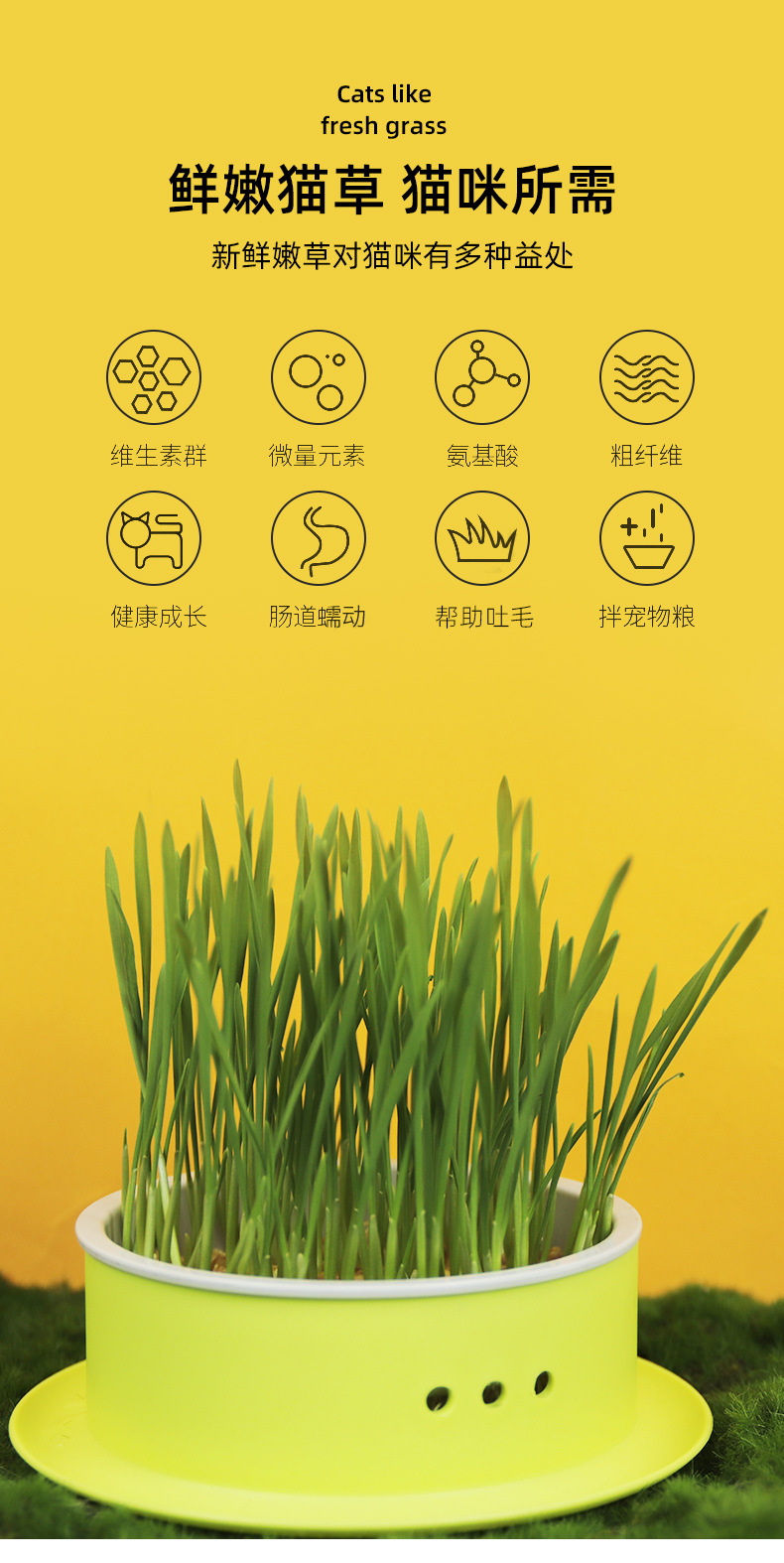 New edible cat grass seeds scientifically eliminate bad breath and supplement dietary fiber. Direct supply from cat snack manufacturers pic 26